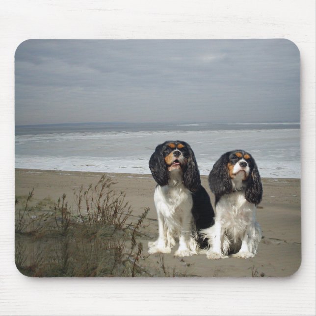 Cavalier King Charles Spaniel Mousepad (Front)