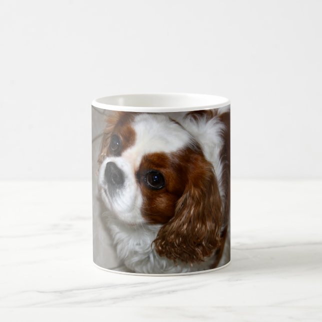 Cavalier King Charles Spaniel Mug (Center)