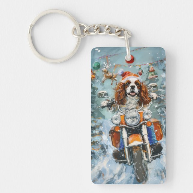 Cavalier King Charles Spaniel Noël (Devant)