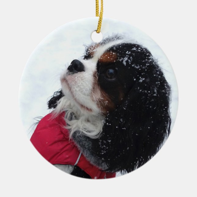 Cavalier King Charles Spaniel Noël Ornement (Devant)