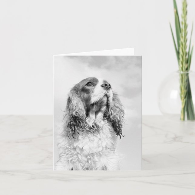 Cavalier King Charles Spaniel on a blank notecard (Front)