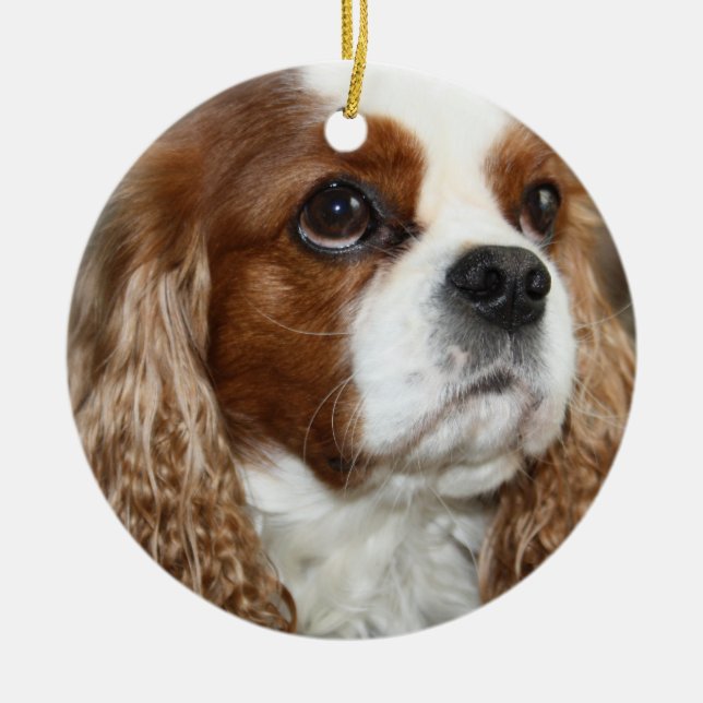 Cavalier King Charles Spaniel Ornament (Front)