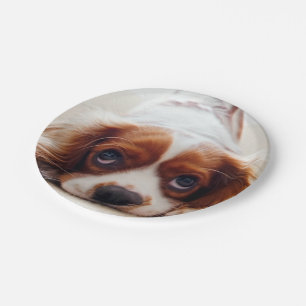Cavalier King Charles Spaniel Paper Plate