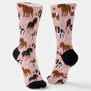 Cavalier King Charles Spaniel Paws and Bones Socks