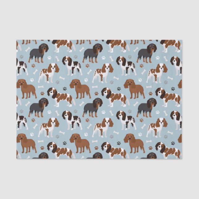 Cavalier King Charles Spaniel Paws and Bones Tissue Paper (Front)