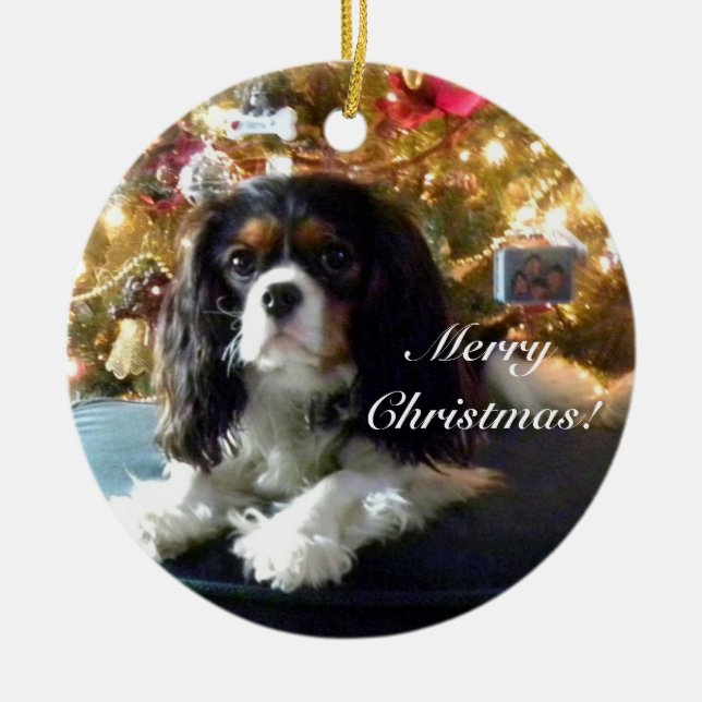 Cavalier King Charles Spaniel Personalize Ornament (Front)