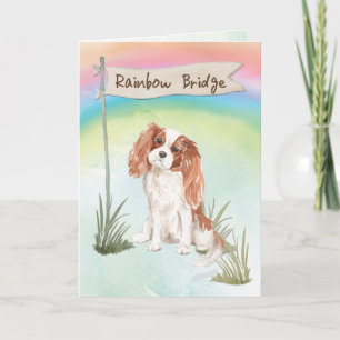 Cavalier King Charles Spaniel Pet Sympathy Card