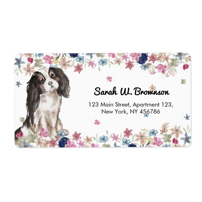 Cavalier King Charles Spaniel Petit Chien (Devant)