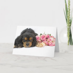 Cavalier King Charles Spaniel Pink Roses Dog Blank Card