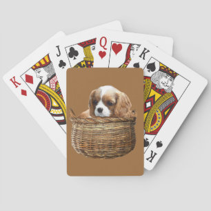 Cavalier King Charles Spaniel Playing Cards
