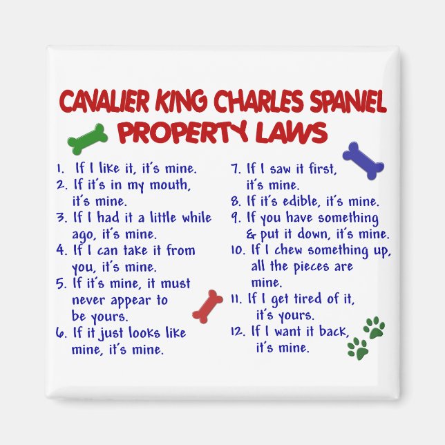 CAVALIER KING CHARLES SPANIEL Property Laws 2 Magnet (Front)