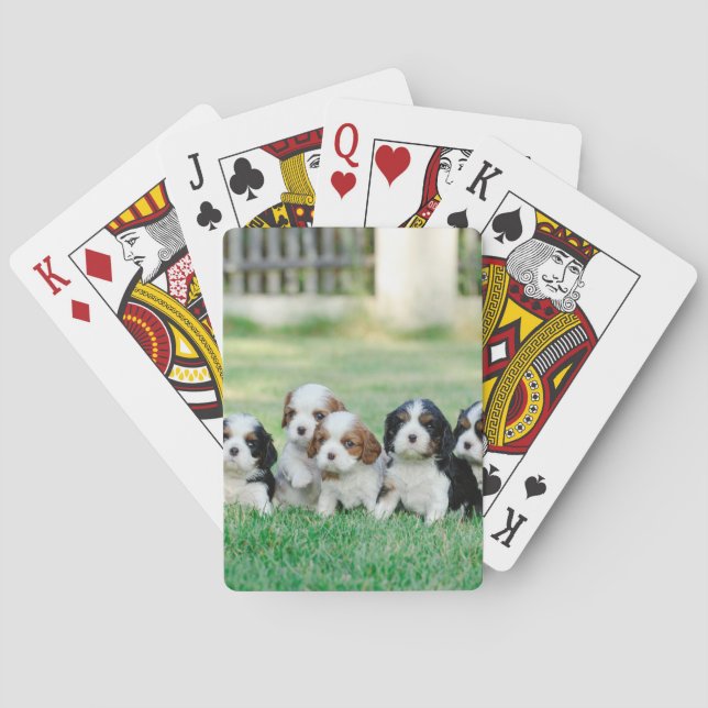 Cavalier King Charles Spaniel puppies Playing Cards (Back)