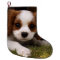 Cavalier King Charles Spaniel Puppy behind flowers