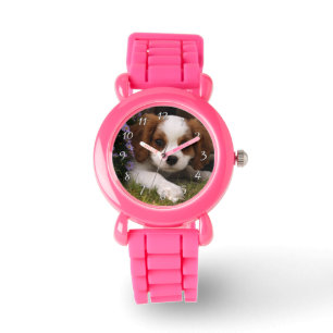 Cavalier King Charles Spaniel Puppy behind flowers Watch