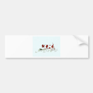 Cavalier King Charles Spaniel  puppy CKC Bumper Sticker
