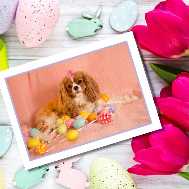 Cavalier King Charles Spaniel Puppy Easter Card (Creator Uploaded)