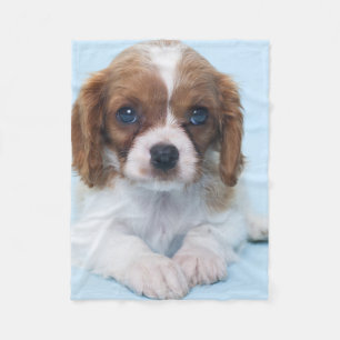 Cavalier King Charles Spaniel Puppy Fleece Blanket