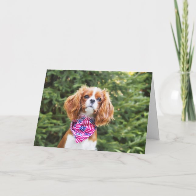 Cavalier King Charles Spaniel Puppy July 4th Card (Front)