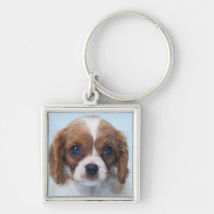 Cavalier King Charles Spaniel Puppy Keychain