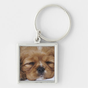 Cavalier King Charles Spaniel puppy sleeping Keychain