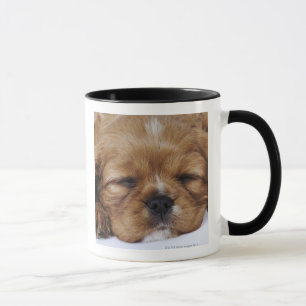 Cavalier King Charles Spaniel puppy sleeping Mug
