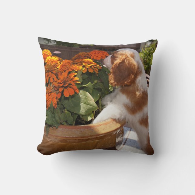 Cavalier King Charles Spaniel Puppy Smells Flowers Throw Pillow (Front)