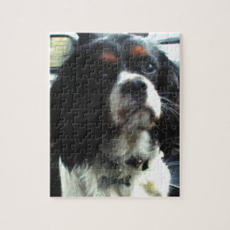 Cavalier King Charles Spaniel Puzzle