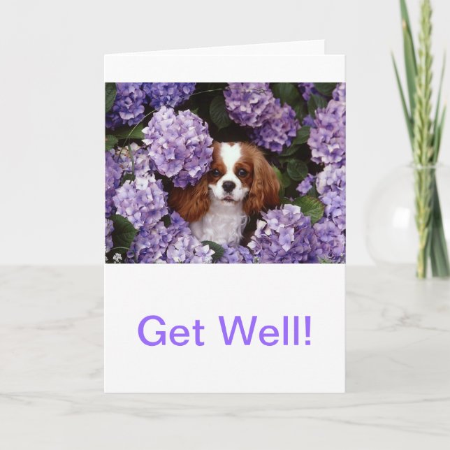 Cavalier King Charles Spaniel Red and White Card (Front)
