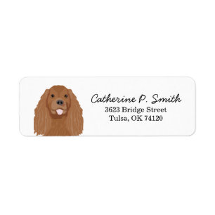 Cavalier King Charles Spaniel Return Address