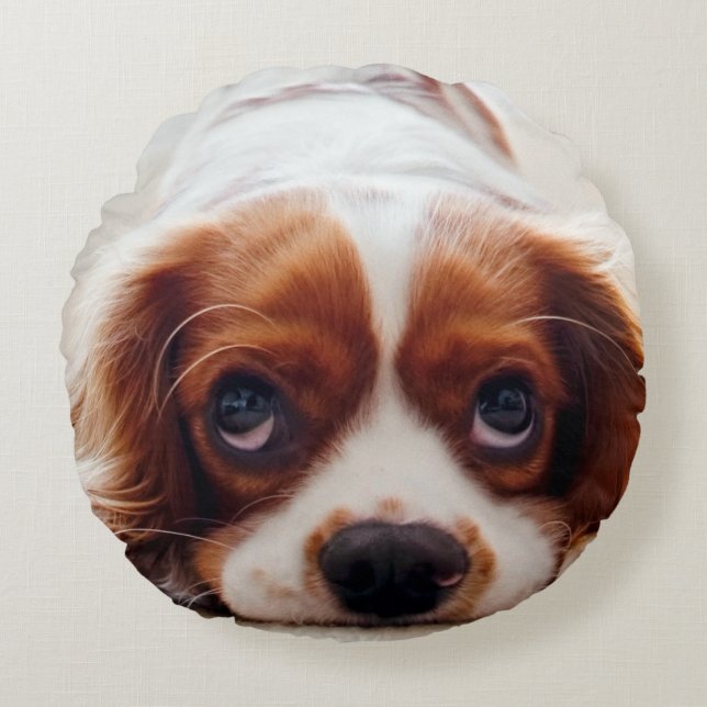 Cavalier King Charles Spaniel Round Pillow (Front)