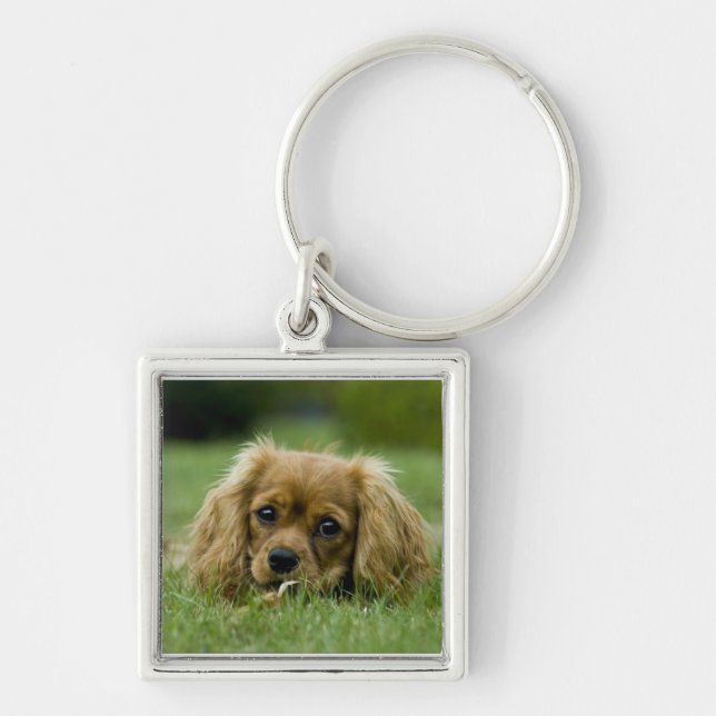 Cavalier King Charles Spaniel Ruby Keychain (Front)