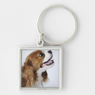 Cavalier King Charles Spaniel, side view Keychain