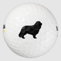 Cavalier King Charles Spaniel Silhouette