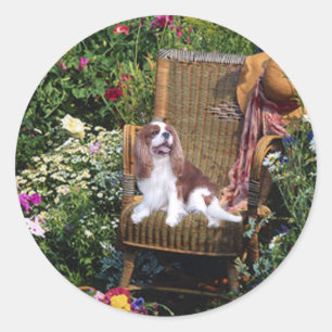 Cavalier King Charles Spaniel Sticker