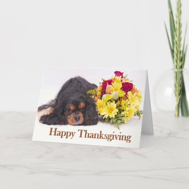Cavalier King Charles Spaniel Thanksgiving Card (Front)