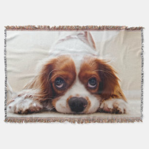 Cavalier King Charles Spaniel Throw Blanket
