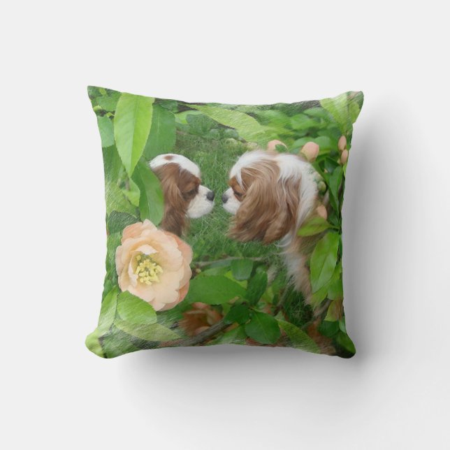 Cavalier King Charles Spaniel Throw Pillow (Front)