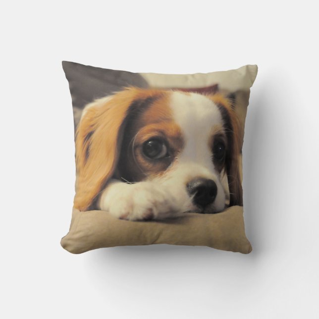 Cavalier King Charles Spaniel Throw Pollow Throw Pillow (Front)