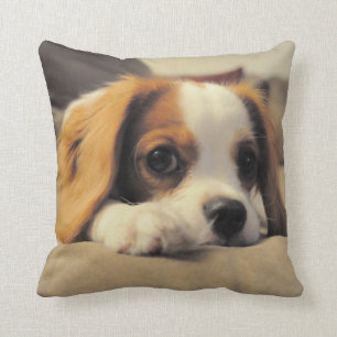 Cavalier King Charles Spaniel Throw Pollow Throw Pillow