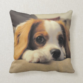 Cavalier King Charles Spaniel Throw Pollow Throw Pillow