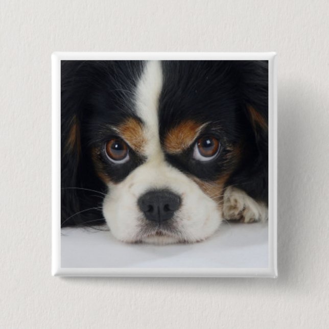 Cavalier King Charles Spaniel Tri Pin (Front)