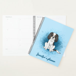 Cavalier King Charles Spaniel tricolore sur fond b