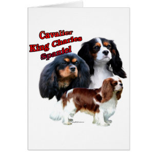 Cavalier King Charles Spaniel Trio 2