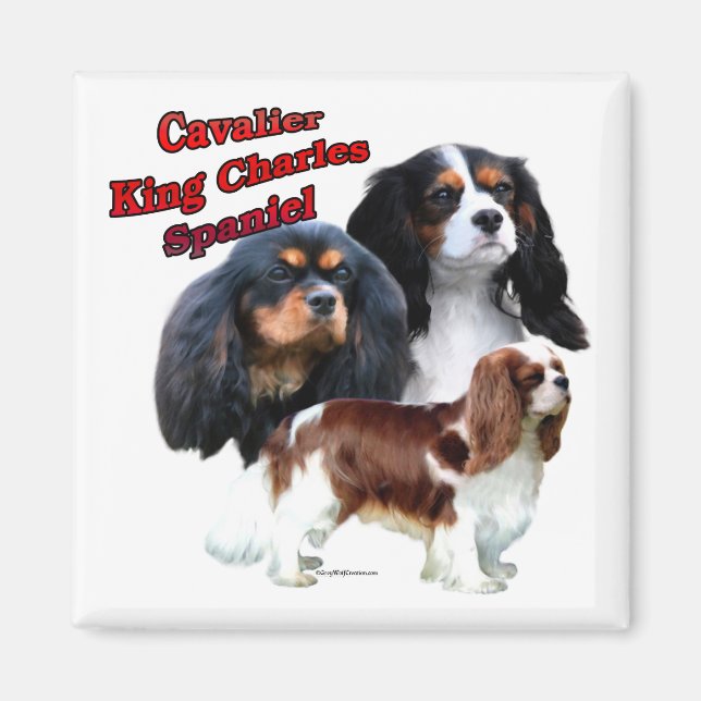 Cavalier King Charles Spaniel Trio 2 - Magnet (Devant)