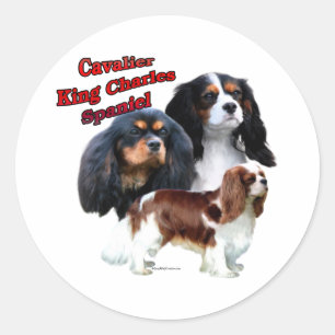 Cavalier King Charles Spaniel Trio 2 - Sticker