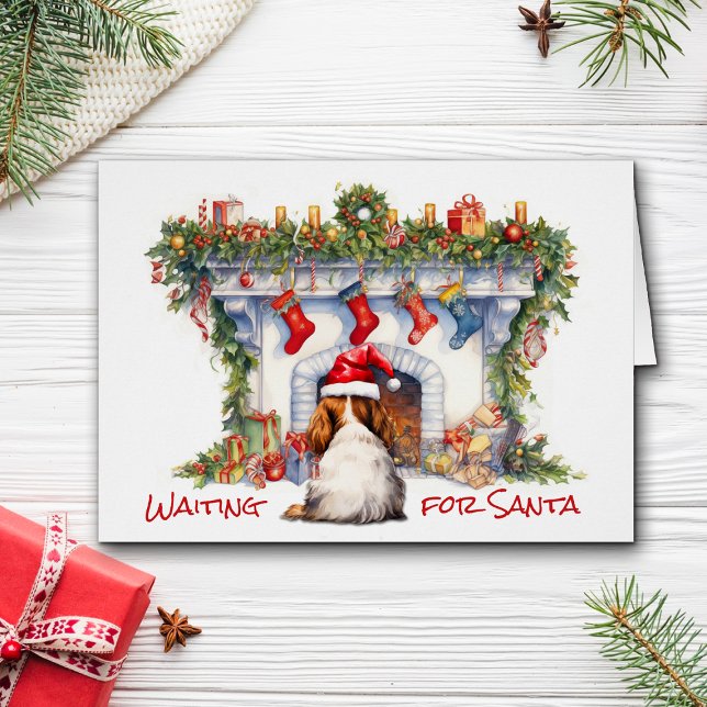 Cavalier King Charles Spaniel Wait for Santa (Creator Uploaded)