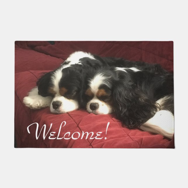 Cavalier King Charles Spaniel Welcome Door Mat (Front)