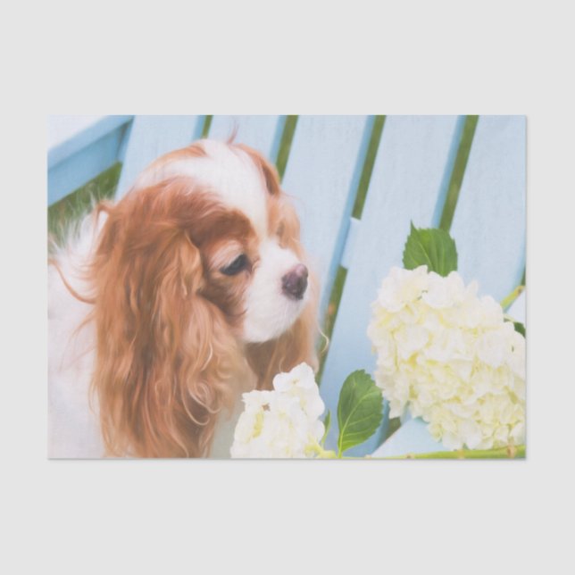 Cavalier King Charles Spaniel With Hydrangeas Tissue Paper (Front)