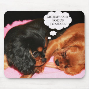 Cavalier King Charles Spaniels Puppies Mouse Pad