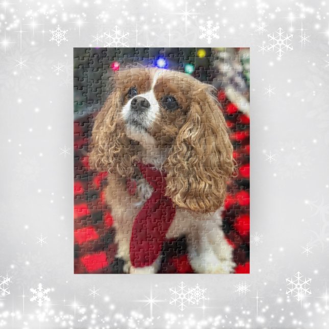 Cavalier King Charles Spaniels With Winter Scarf  Jigsaw Puzzle (Creator Uploaded)